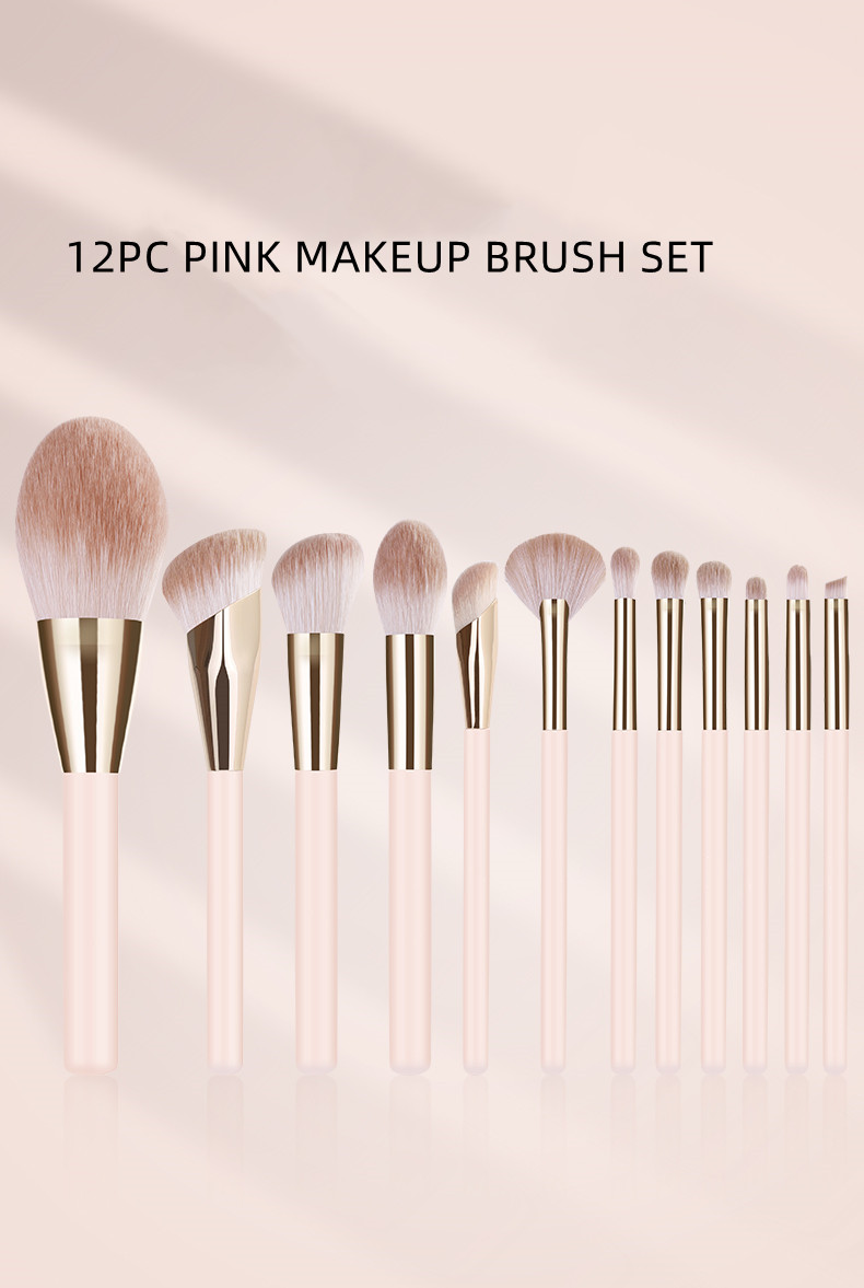12pc Pink brush set with Bag